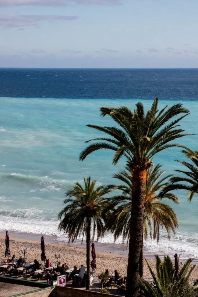 Palm trees give shade to beach cafe.