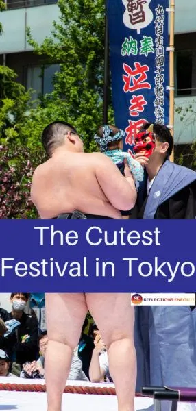 Sumos and babies, Oh My!