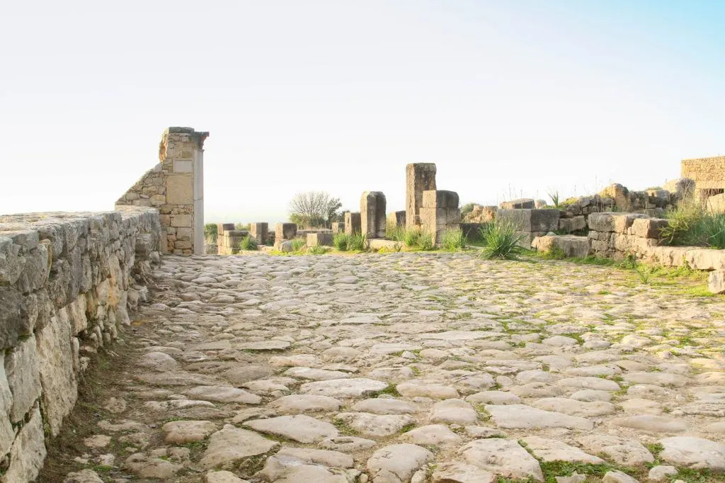 A very rough looking Roman road in Volubilis paved with really large, uneven stones.