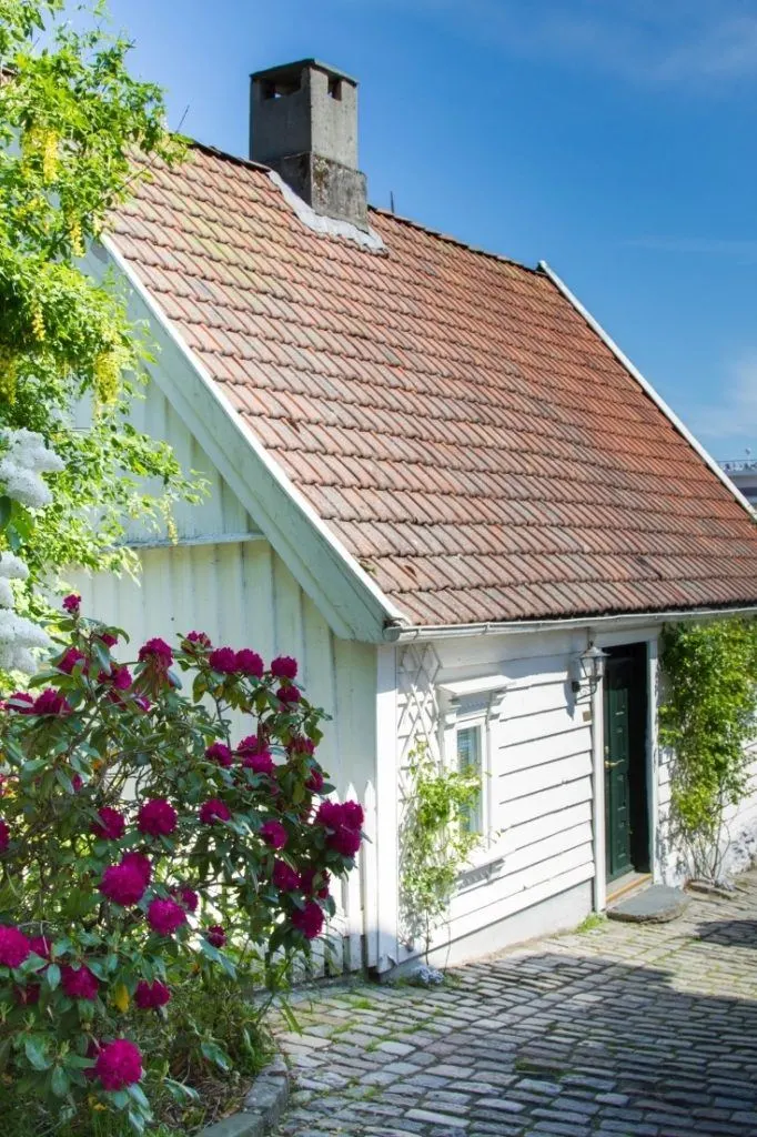 Rose bush in front of traditional Norwegian town home in Stavanger.