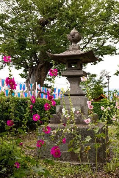 Summer is about flowers and festivals.