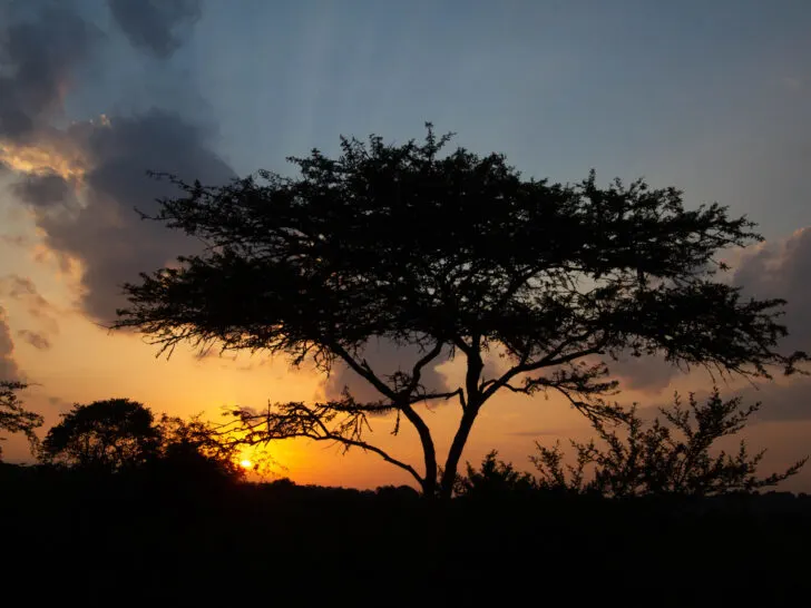 The sunsets in Uganda were worth the wait. What a perfect ending to our Uganda self drive trip.