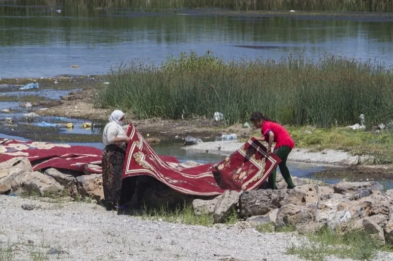 Buy A Turkish Carpet