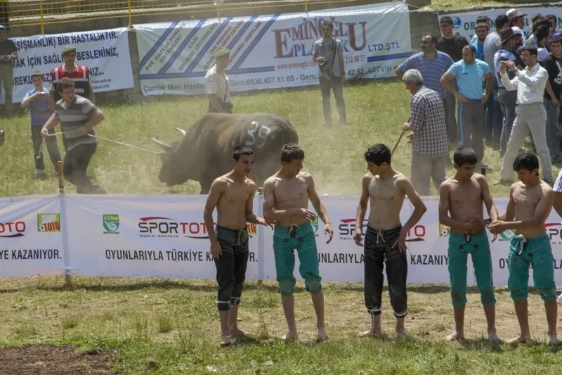 Bullfighting Oil Wrestling