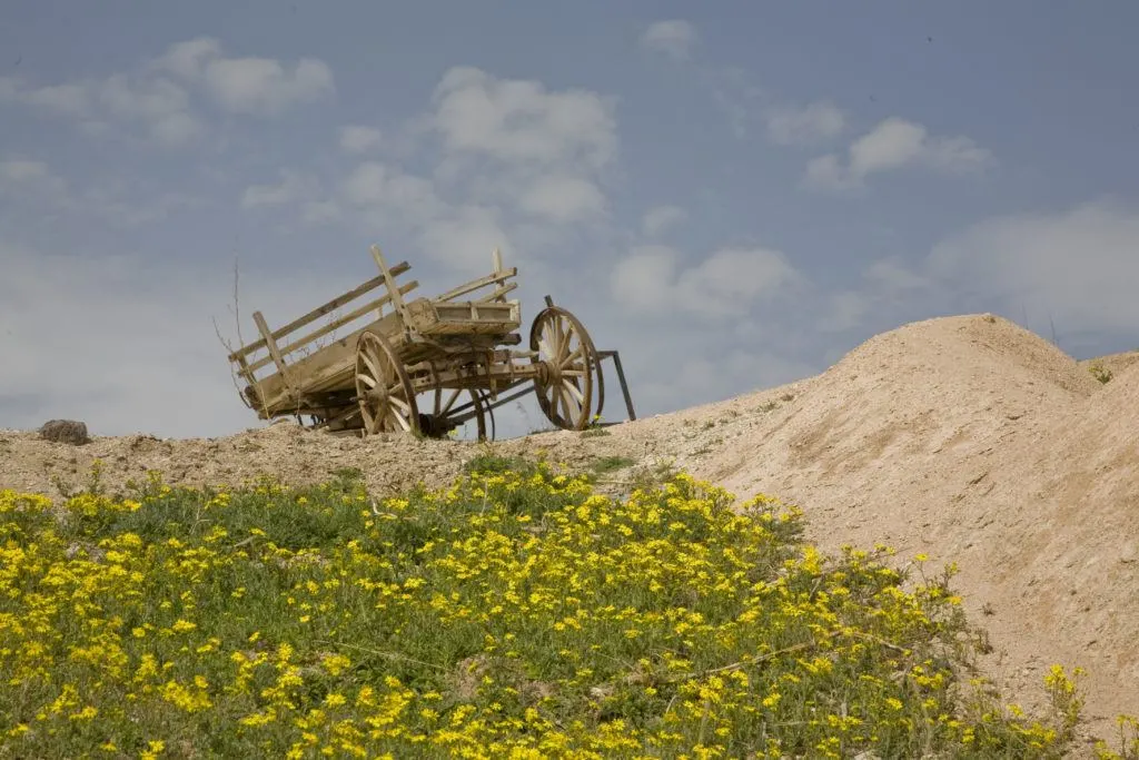 A broken-down wagon sitting on a hill above a patch of yellow flowers near Uchisar, Turkey.