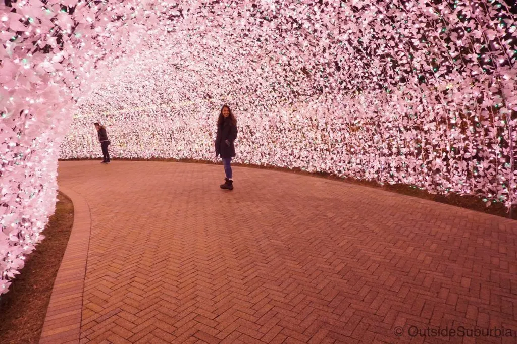 Where to go in winter in Japan? Find an illumination to enjoy like at Nabana no Sato.