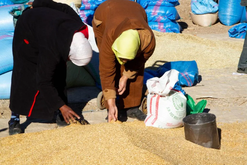 Two women check out a pile of grain in the section of the Berber market dedicated to grains.