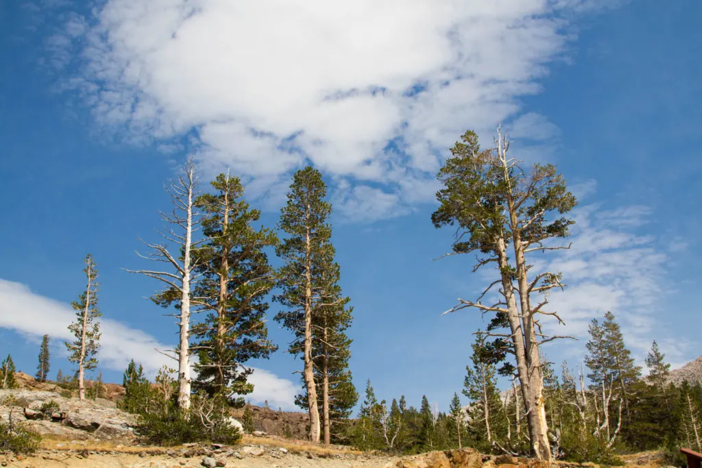 Yosemite National Park - varied terrain and lots to do.