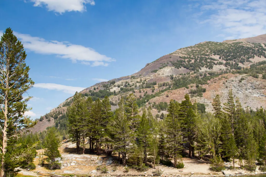 Yosemite National Park - a world heritage site is well worth visiting anytime of year.