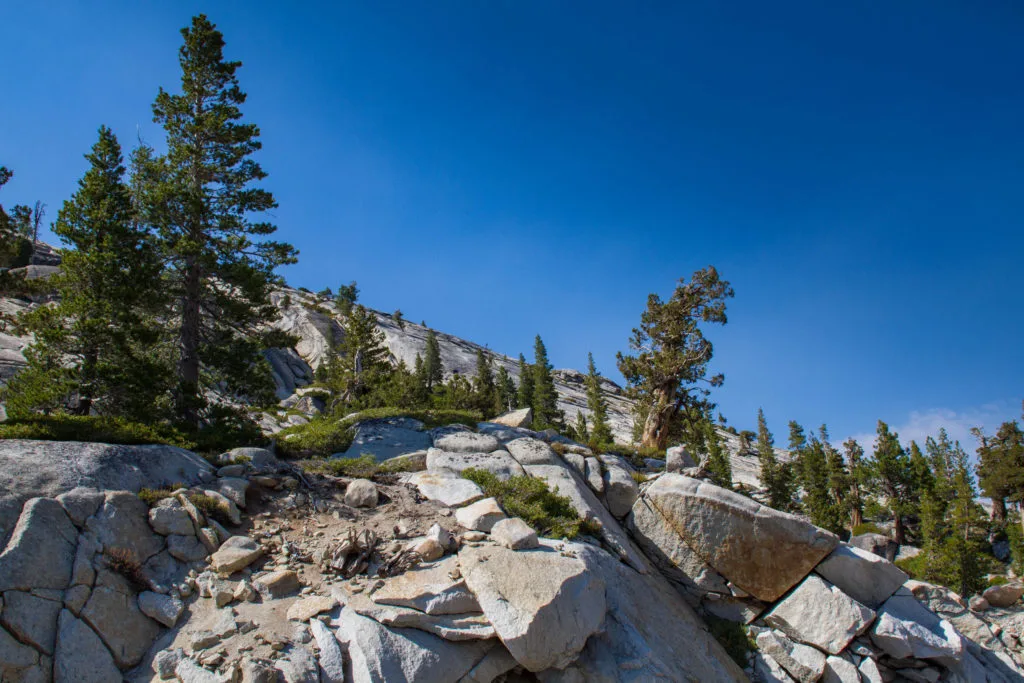 Rocks, rocks, and more rocks - Yosemite.