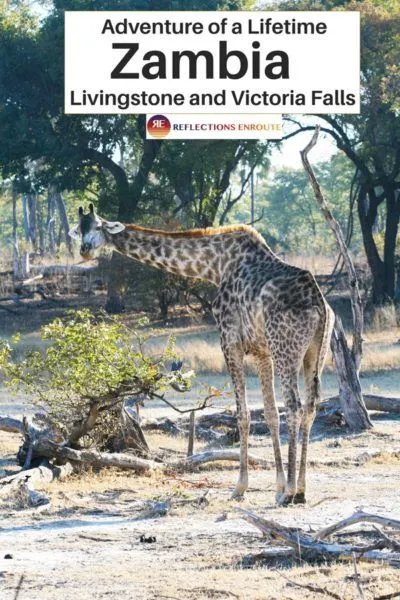 Who wants to go on safari then see some magnificent waterfalls? Zambia is for you!